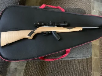 Ruger 10-22 scope.webp