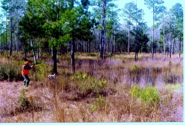Plantation wkend 04 036 (1).webp