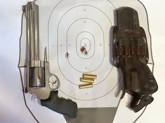 500 Mag Target.webp